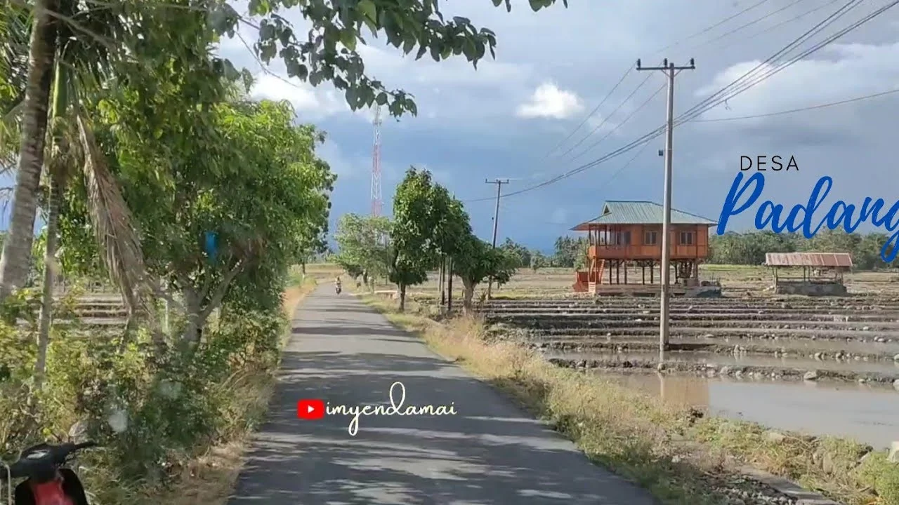 SUASANA DESA PADANG KEC.UJUNG LOE KAB.BULUKUMBA SUL-SEL